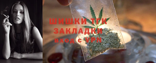 PSILOCYBIN Вязьма