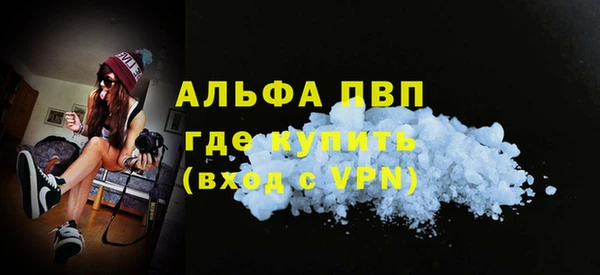 PSILOCYBIN Вязьма