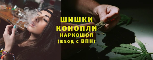 PSILOCYBIN Вязьма