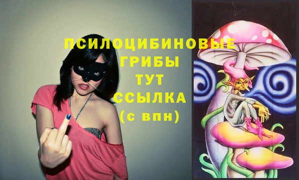 PSILOCYBIN Вязьма