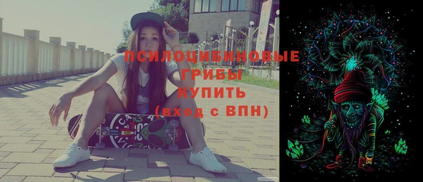PSILOCYBIN Вязьма