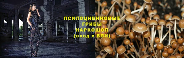 СК Гусиноозёрск